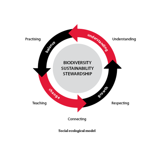 Biodiversity Sustainability Stewardship diagram from Brown and Brown.